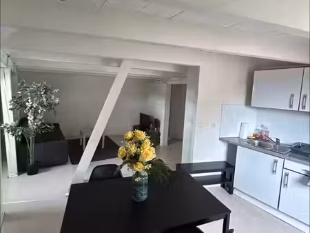 2 pièces et studio dans le cœur de schiltigheim