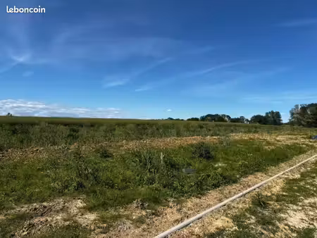 terrain 550 m² spechbach