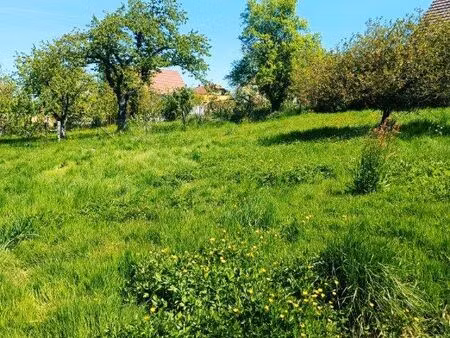 terrain 608 m² hirtzbach