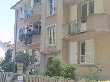 appartement t3 rénové à colmar