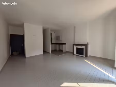 appartement 1 pièce 45 m²