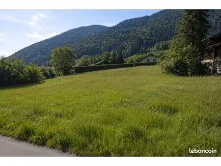 terrain 1000 m² lullin