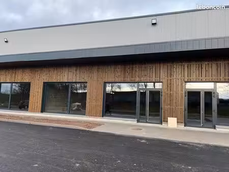 local commercial haguenau 216 ou 468m²