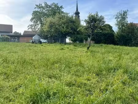 terrain constructible