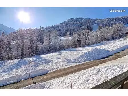 appartement 35m2 sur pistes et proche village