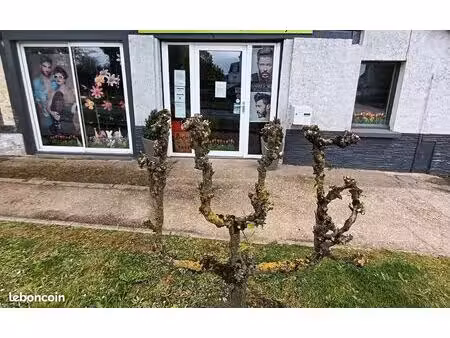 murs commerciaux