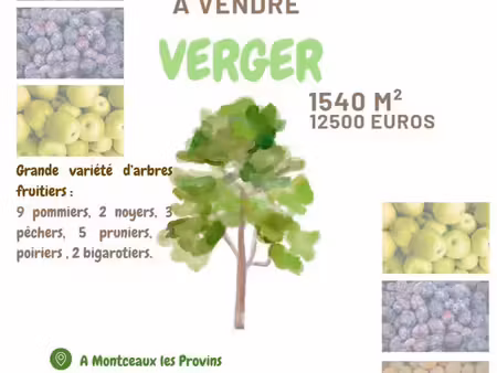 verger 23 arbres fruitiers