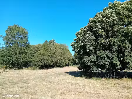 terrain constructible 1122m2 domqueur (80)