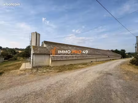 entrepôt 800 m² mauléon