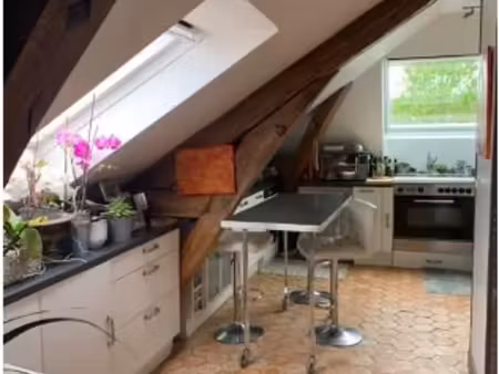appartement avec terrasse et jardin