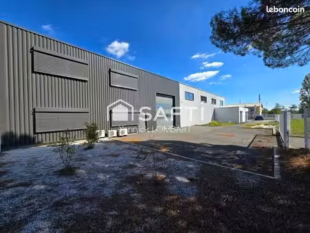 local 1000 m² gaillac