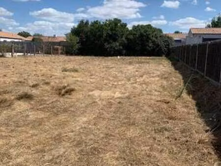 vente terrain au fenouiller (85800) : à vendre / le fenouiller