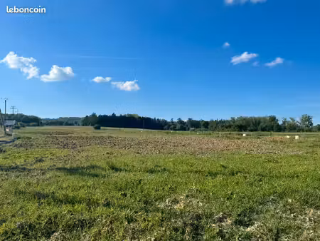 terrain 550 m² busque