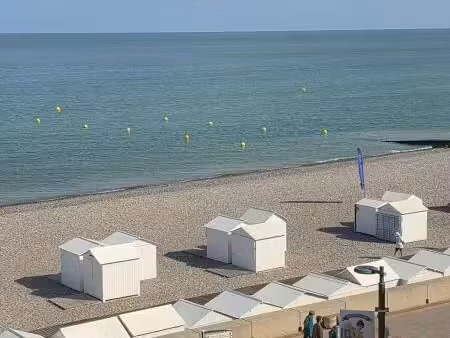 terre d'id