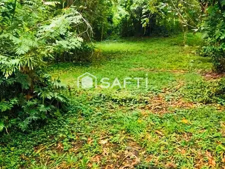 terrain constructible viabilisé à vendre