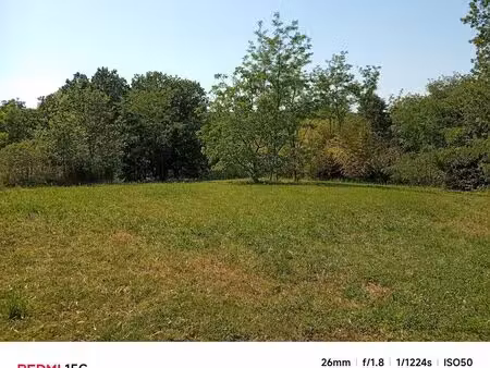 maison + jardin + dependances + pre + bosquet dans un havre de paix verdoyant ^^ a saisir