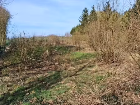 terrain 2 386 m² revelles