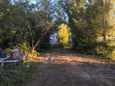 jardin