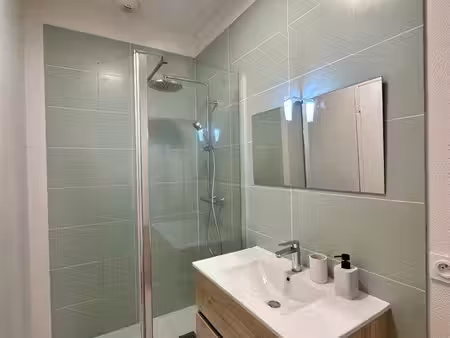 centre ville • t2 + grande terrasse 20m2 + grande cave 46m2 • marché couvert