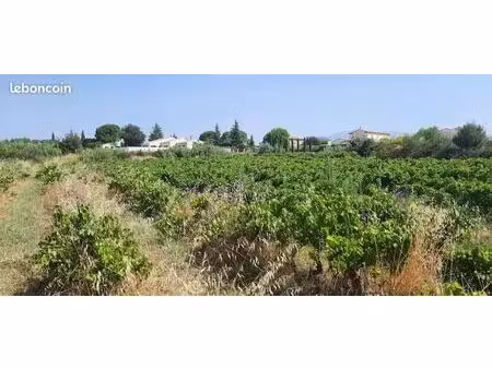 terrain à bâtir de 927 m² à mazan (84)