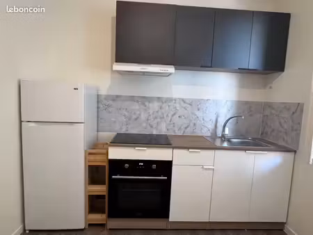 appartement lumineux entièrement rénové