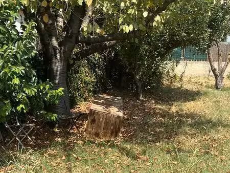terrain em