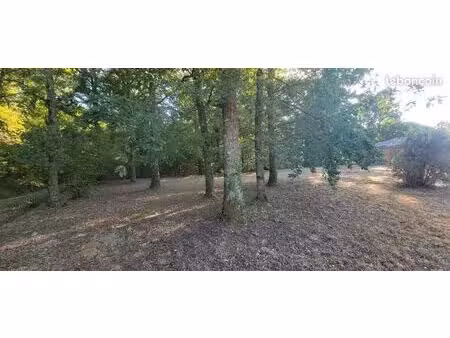 terrain constructible