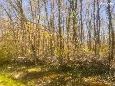 terrain agricole 72 755 m² saint etienne de tulmont