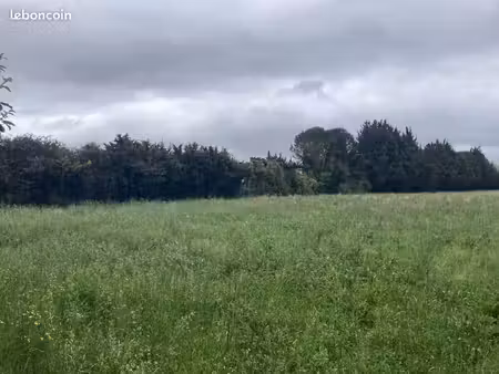 terrain à bâtir de 650 m² à l'isle-sur-la-sorgue (84)
