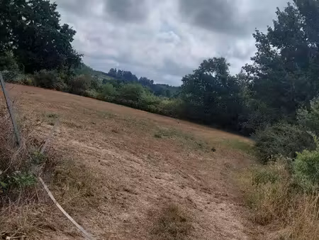 terrain agricole