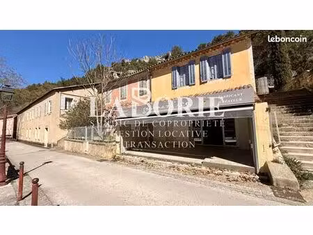 local 65 m² fontaine-de-vaucluse