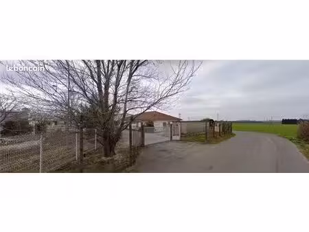 local commercial