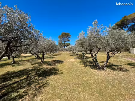 terrain 1 050 m² salernes