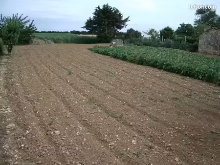 terrain 800m2 thiré