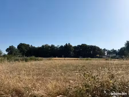 terrain 490 m² belleville sur vie