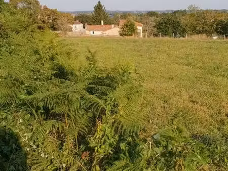 terrain agricole