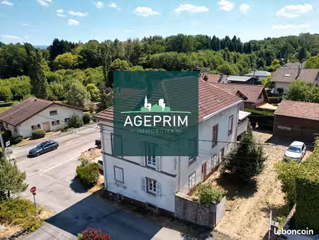 immeuble 192 m² saint die des vosges