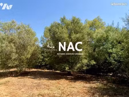 terrain 1230 m² cavalaire sur mer