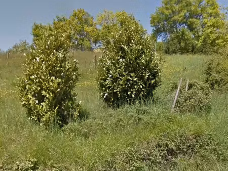 terrain à bâtir