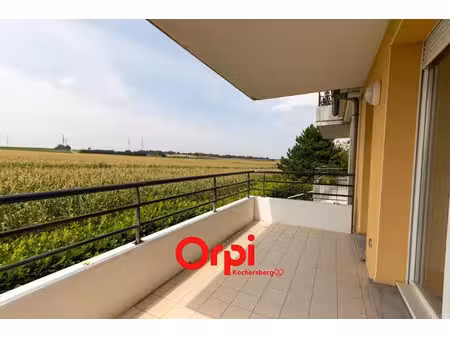 location appartement 2 pièces 41.1 m² à lampertheim (67450)  850 €