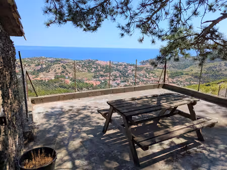 vigne avec casot a vendre a collioure