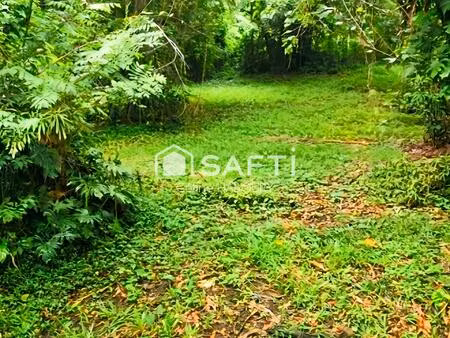 magnifique terrain constructible en bord de mer