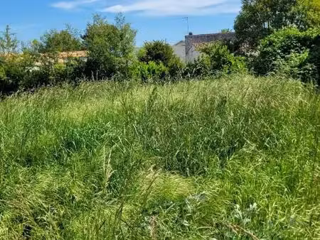 terrain 1 043 m² la tremblade