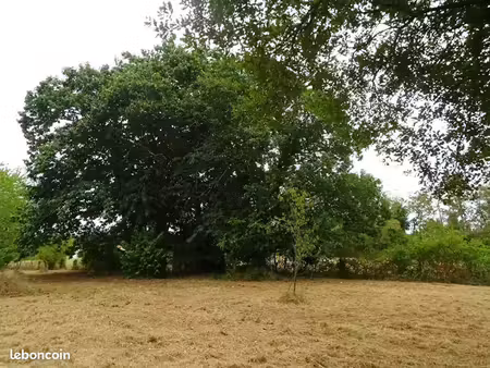 terrain 1 865 m² saint medard de mussidan