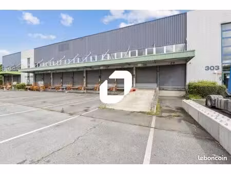 local industriel 11 369 m²