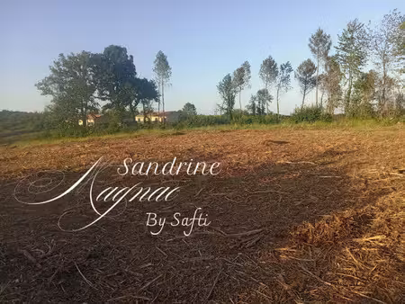 vente terrain 6450 m² sarlat-la-canéda (24200)