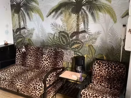 location meublée appartement 3 pièces 60 m² à lille (59000)  900 €