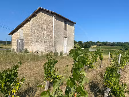 projet pour investisseur: maison en pierre à renover