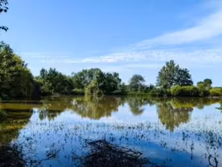 vente terrain à cerizay (79140) : à vendre / 17052m² cerizay