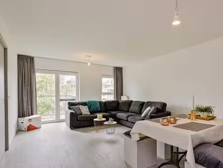 appartement à louer à geel € 820 (lqul5) - era carl tournier (lommel) | zimmo